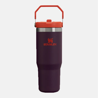 THE ICEFLOW FLIP STRAW TUMBLER | 0.89 L כוס עם קשית